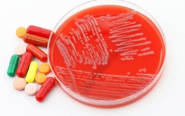 Rezistenca bakteriale ndaj antibiotikëve